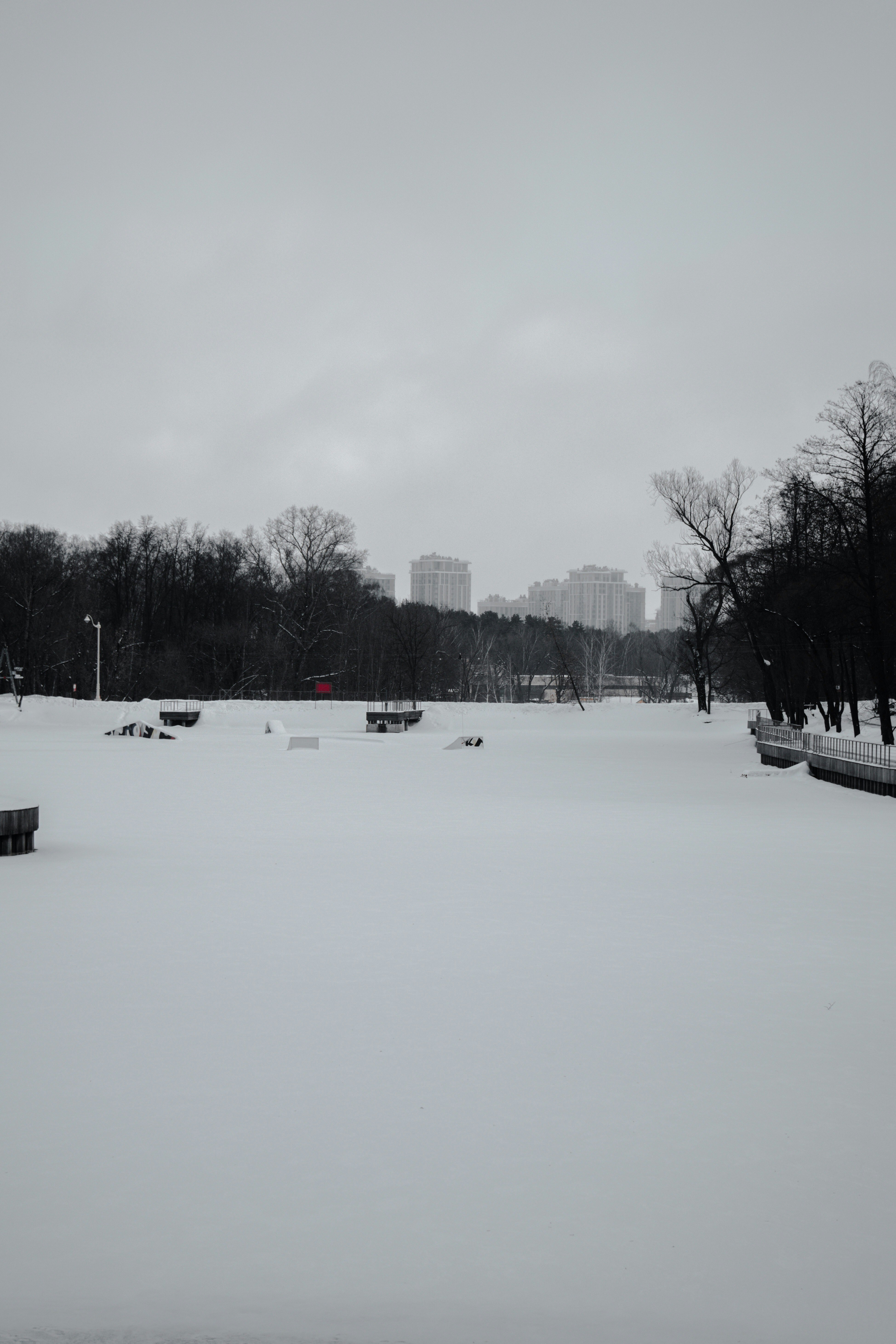 snow covered field and trees during daytime